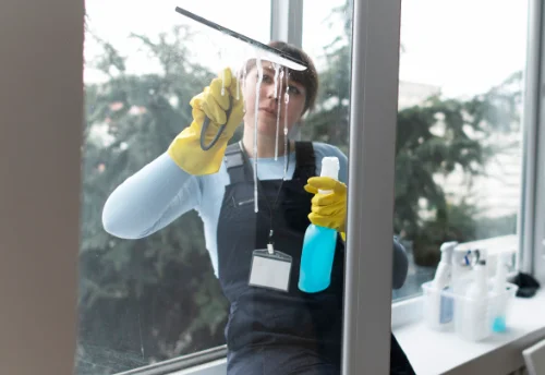 Nettoyage de vitres intérieures et extérieures à Villiers-en-Plaine